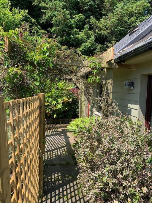 The Bird House - Coastal Lodge In Lovely Forest Setting Nr. Kinsale Cork Exterior foto